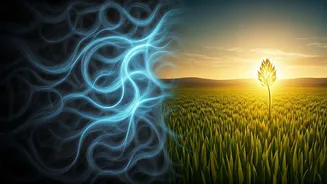 Anshika Singh's Bold Leap: From Gurugram Burnout to Dehradun Bliss