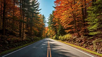 The Northeast Travel Boom Explained
