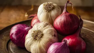 Onions, Garlic, Chives and Leeks Can Damage Red Blood Cells in Pets