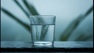 Don't Let Cooler Weather Trick You Into Ignoring Hydration During Monsoon