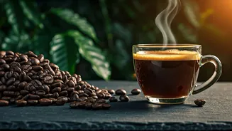 India's Best Regional Coffees Shine This Season
