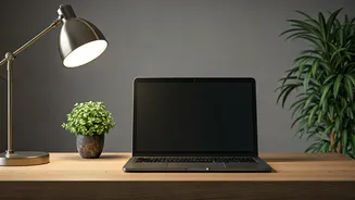 Solo Living for Success: Google Techie's Productivity Secret Sparks Online Debate