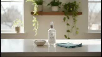 Low-Chemical Monsoon Cleaning Guide: How Renters and Home Cleaners Can Handle Routine Dirt with Simpler Ingredients