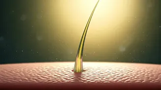 How Scalp Serums Fix Hair Roots Damaged By Humidity