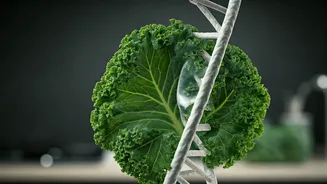 Bryan Johnson's '9-Year Skin Age Reversal': Unpacking the Biohacker's Skincare Secrets and Diet