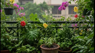 Monsoon Balcony Micro-Gardens: What Is New, what Matters and what Remains Unclear