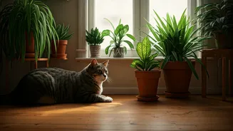How To Spot Pet Safe Greenery For Small Homes