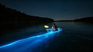 Night Kayaking Gives Honeymoons A Glow-In-The-Dark Twist