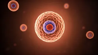 Firstborns & Germs: Unpacking the Science Behind Birth Order Advantages