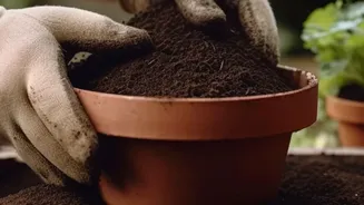 The Right Pot Size For A Lemon Plant: What To Know