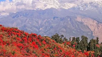 Nepal's Disaster Raises Fresh Questions About Climate Resilience in the Himalayas