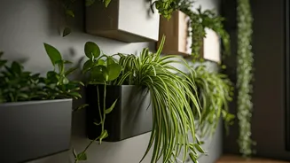 Maximize Limited Apartment Space With Sleek Vertical Wall Planters