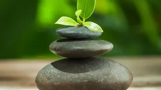Why Starting To Save In Your 20s Supercharges Wealth Growth Through Compounding Principles