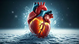 Snow Shovelling's Hidden Dangers: How to Protect Your Heart This Winter