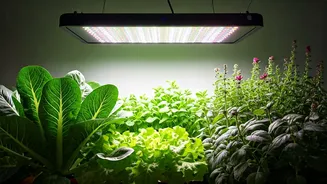 Full-Spectrum LEDs Are The Indoor Garden Flex
