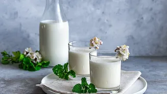 Coconut Water And Buttermilk Compared As Everyday Hydration Drinks: What To Make Of The Latest Update