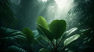 Greener Holidays Are Making Monsoon Trips Trendy