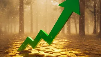 Why Low Credit Utilization Below 30% Improves CIBIL Score Fast
