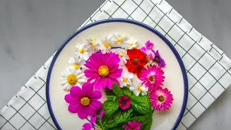 Onam 2026 Pookkalam: What A Sustainable Flower Decoration Could Look Like