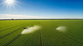 Rationalizing Agri-Subsidies: Key to Government Reform in India