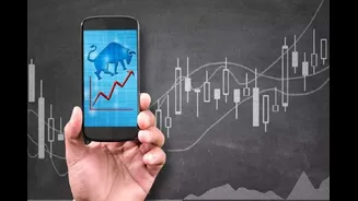 Markets Today: Sensex Jumps Over 800 Points, Nifty Tops 24,200 As Broad-Based Rally Gathers Pace