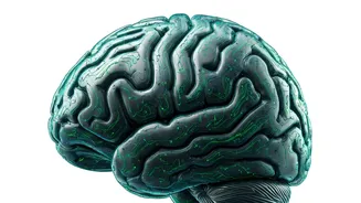 Rewiring Your Brain: Habits & Weight Loss