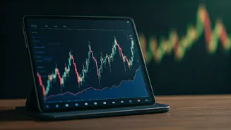 Navigating the Indian Stock Market with Essential Tools