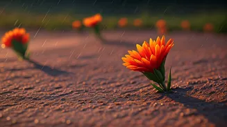 These Flowers Are Dormant Until Rain Arrives