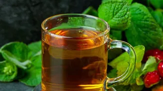 Peppermint Tea Compresses For Tension Headaches: A Cautious Look at Peppermint for Headache Discomfort