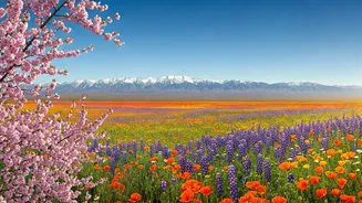 Bloom Getaways Give Travellers A Cooler Pace