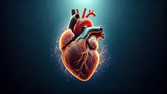 Unlock Longevity: The Power of Zone 2 Cardio Explained