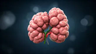What Cortisol Does: Understand Your Body