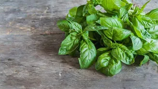 How basil can elevate simple recipes