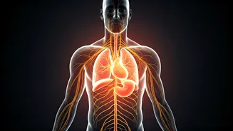 Anxiety's Physical Footprint: Decoding Unexplained Aches, Fatigue, and More