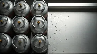 Saba Ibrahim's Mumbai Eatery Closes Doors Amidst LPG Shortage and Unforeseen Pests