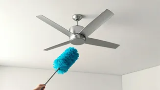 Effortless Ceiling Fan Cleaning: Top Tips to Ditch the Ladder and Dust!