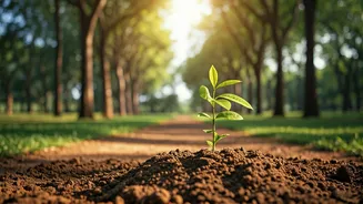 A Forester's Verdant Vision: How S.G. Neginhal Reclaimed Bengaluru's Green Heart