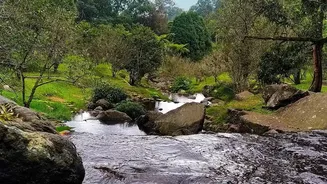 Hidden Monsoon Gems Near Bengaluru Promise Peace, Greenery And Fresh Air