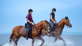 Horse Riding Through Portugal's Rural Heritage Sites Explained