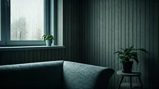 Monsoon Humidity Calls For Smarter Home Care