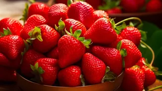 Inside Indian Strawberry Breeding: Breeding Timelines, Heat Tolerance and the Technology Changing Farms