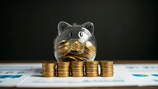 Unveiling India's Top-Rated Funds: A Smart Investor's Guide