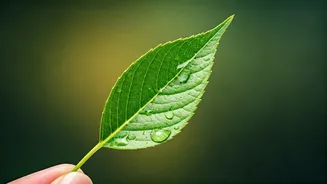 The Monsoon Eating Habit Your Body Will Appreciate