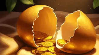 $100,000 OPT Proposal: The Significance of $100,000