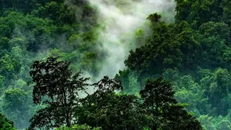 Monsoon In India: Five Destinations Where Rain Is The Experience