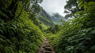 Explore Stunning Misty Mountain Trails Western Ghats This Monsoon Season