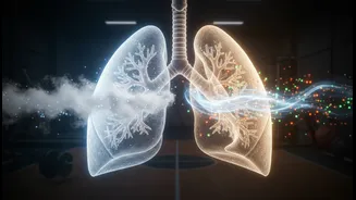 Why High Air Moisture Lowers Oxygen Transport Efficiencies Accelerating Gym Exhaustion Levels Now