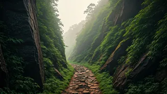 Western Ghats Misty Mountain Trails Redefine Wilderness Exploration This Monsoon