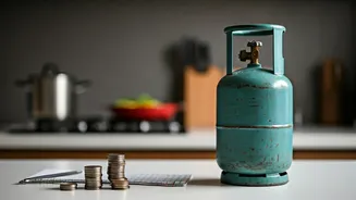 LPG Cylinder Shortage Survival Guide: Budgeting Hacks & Smart Cooking for Indian Households