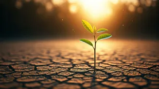Cultivating Resilience: The Crucial Parent's Role in Fostering Mentally Strong Children
